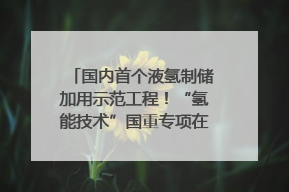 国内首个液氢制储加用示范工程！“氢能技术”国重专项在四川南充启动｜打赢经济发展翻身仗