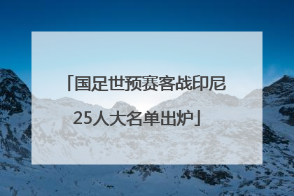 国足世预赛客战印尼25人大名单出炉