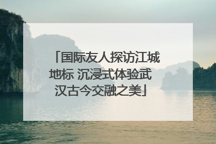 国际友人探访江城地标 沉浸式体验武汉古今交融之美