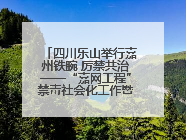 四川乐山举行嘉州铁腕 厉禁共治——“嘉网工程”禁毒社会化工作暨毒品集中销毁启动仪式