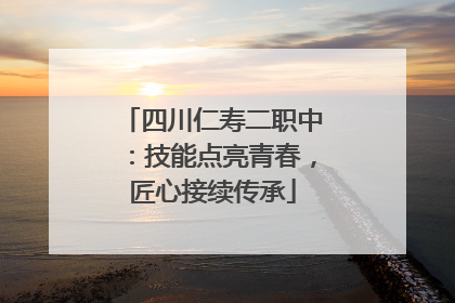 四川仁寿二职中：技能点亮青春，匠心接续传承