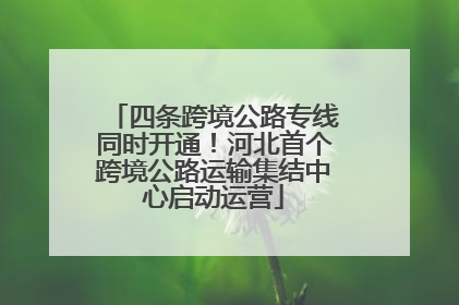 四条跨境公路专线同时开通！河北首个跨境公路运输集结中心启动运营