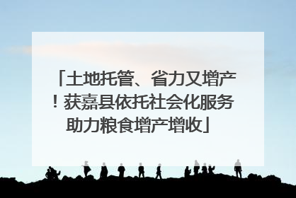 土地托管、省力又增产！获嘉县依托社会化服务助力粮食增产增收