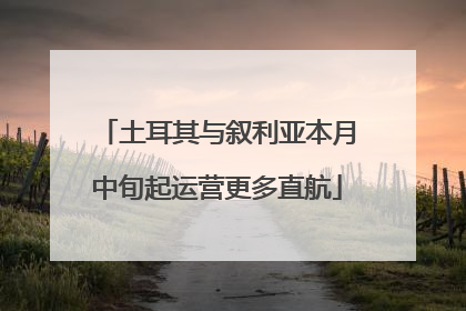 土耳其与叙利亚本月中旬起运营更多直航