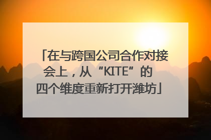 在与跨国公司合作对接会上，从“KITE”的四个维度重新打开潍坊