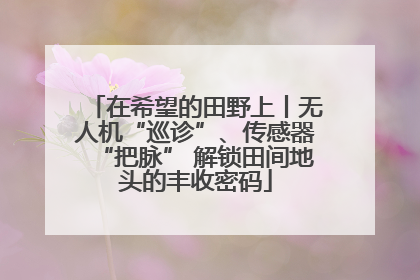 在希望的田野上丨无人机“巡诊”、传感器“把脉” 解锁田间地头的丰收密码