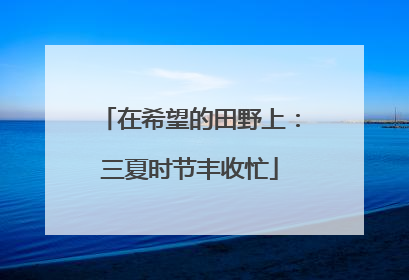 在希望的田野上：三夏时节丰收忙