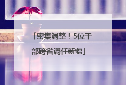 密集调整！5位干部跨省调任新疆