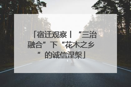 宿迁观察丨“三治融合”下“花木之乡”的诚信涅槃