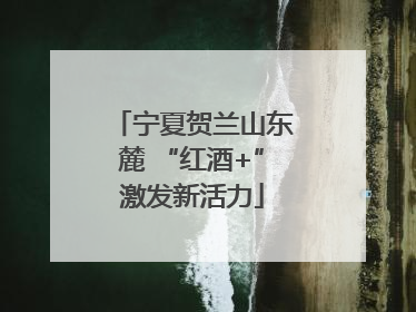 宁夏贺兰山东麓 “红酒+”激发新活力
