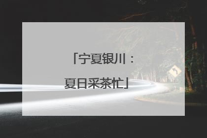 宁夏银川：夏日采茶忙