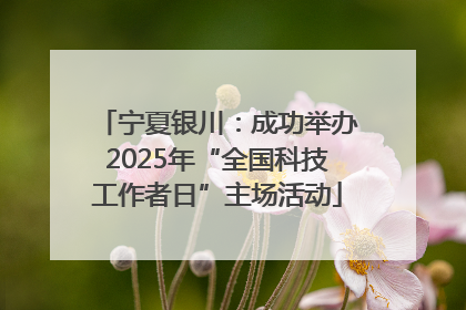 宁夏银川：成功举办2025年“全国科技工作者日”主场活动