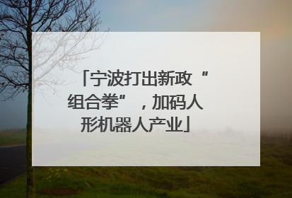 宁波打出新政“组合拳”，加码人形机器人产业