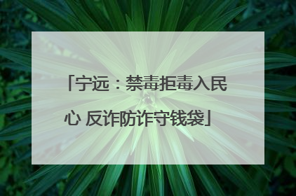 宁远：禁毒拒毒入民心 反诈防诈守钱袋