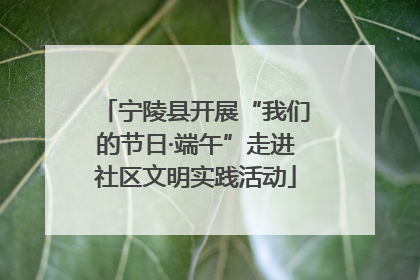 宁陵县开展“我们的节日·端午”走进社区文明实践活动