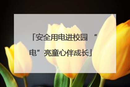 安全用电进校园 “电”亮童心伴成长