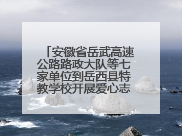 安徽省岳武高速公路路政大队等七家单位到岳西县特教学校开展爱心志愿活动