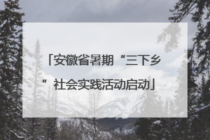 安徽省暑期“三下乡”社会实践活动启动