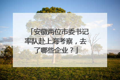 安徽两位市委书记率队赴上海考察，去了哪些企业？