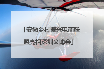 安徽乡村振兴电商联盟亮相深圳文博会