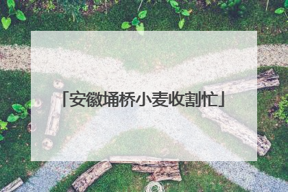 安徽埇桥小麦收割忙