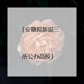 安徽拟新设三所公办高校