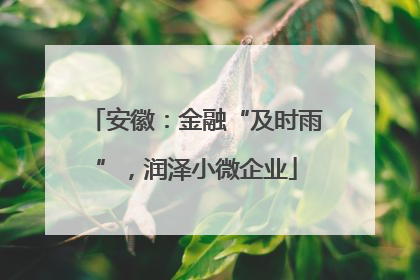 安徽：金融“及时雨”，润泽小微企业