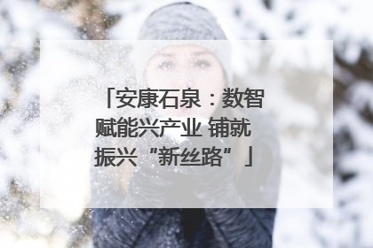 安康石泉：数智赋能兴产业 铺就振兴“新丝路”