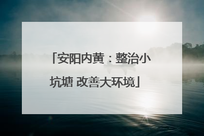 安阳内黄：整治小坑塘 改善大环境
