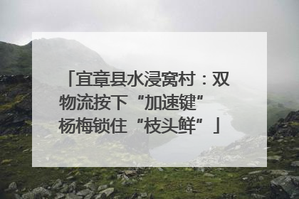 宜章县水浸窝村：双物流按下“加速键” 杨梅锁住“枝头鲜”