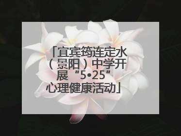 宜宾筠连定水（景阳）中学开展“5•25”心理健康活动
