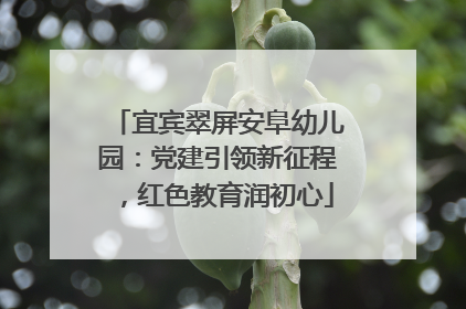 宜宾翠屏安阜幼儿园：党建引领新征程，红色教育润初心
