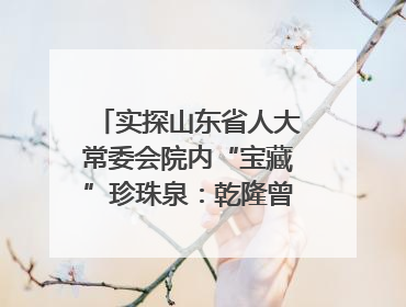 实探山东省人大常委会院内“宝藏”珍珠泉：乾隆曾为它题诗，游客无需预约免费游览