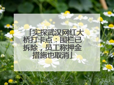 实探武汉网红大桥打卡点：围栏已拆除，员工称押金措施也取消