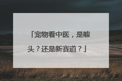 宠物看中医，是噱头？还是新赛道？