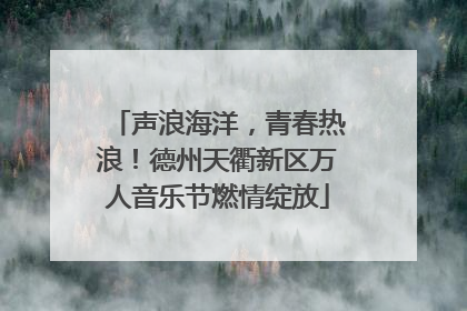 声浪海洋，青春热浪！德州天衢新区万人音乐节燃情绽放