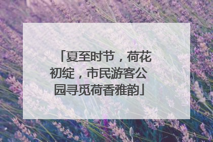 夏至时节，荷花初绽，市民游客公园寻觅荷香雅韵