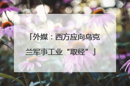 外媒：西方应向乌克兰军事工业“取经”