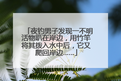 夜钓男子发现一不明活物趴在岸边，用竹竿将其拨入水中后，它又爬回岸边……