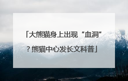 大熊猫身上出现“血洞”？熊猫中心发长文科普