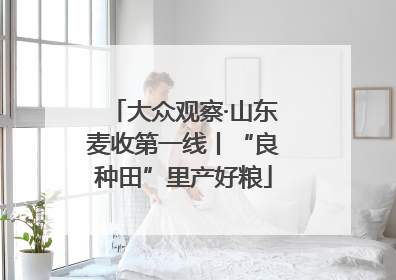 大众观察·山东麦收第一线丨“良种田”里产好粮