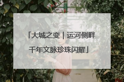 大城之变｜运河侧畔 千年文脉珍珠闪耀