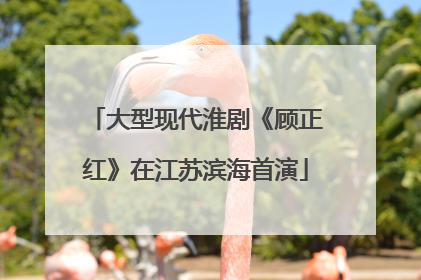 大型现代淮剧《顾正红》在江苏滨海首演
