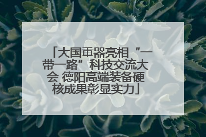 大国重器亮相“一带一路”科技交流大会 德阳高端装备硬核成果彰显实力