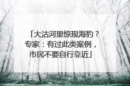 大沽河里惊现海豹？专家：有过此类案例，市民不要自行靠近