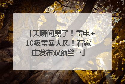 天瞬间黑了！雷电+10级雷暴大风！石家庄发布双预警→