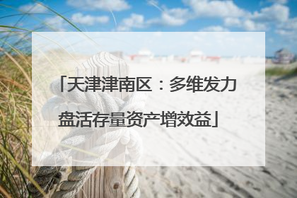 天津津南区：多维发力盘活存量资产增效益