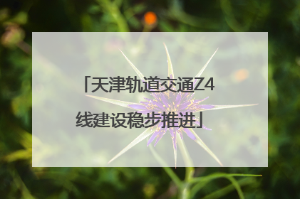 天津轨道交通Z4线建设稳步推进