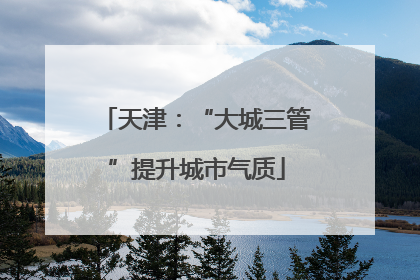 天津：“大城三管”提升城市气质