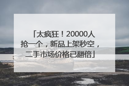 太疯狂！20000人抢一个，新品上架秒空，二手市场价格已翻倍